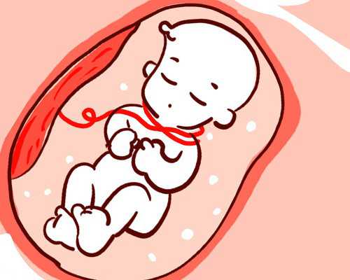 女性反复流产可以选择做试管婴儿吗?，助孕供卵代生