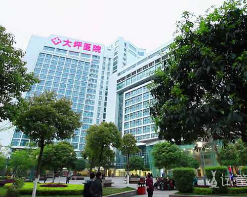 国内试管代怀生殖,促排期间吃海参对卵泡真管用，不想取卵空泡找上门快做攻略